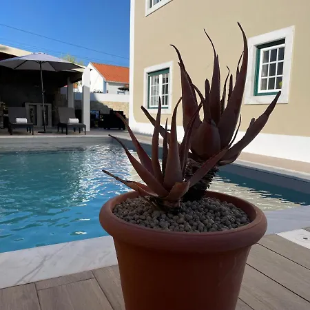 Ocean Country Guest house Freiria
